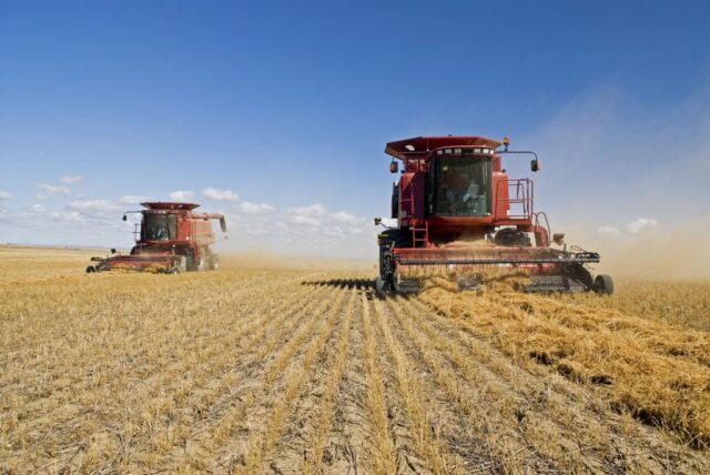 La actividad de la cadena agropecuaria recuperó dinamismo en mayo y quedó cerca de su máximo histórico