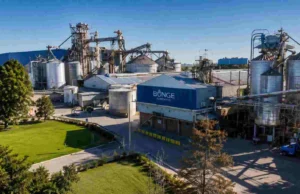 Ranking agroexportadores: ¿Qué empresas ocupan el podio en el primer semestre de 2026? Ranking agroexportadores: ¿Qué empresas ocupan el podio en el primer semestre de 2026?