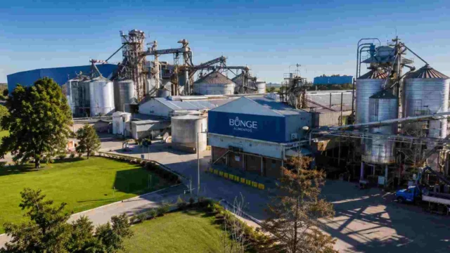 Ranking agroexportadores: ¿Qué empresas ocupan el podio en el primer semestre de 2026?
