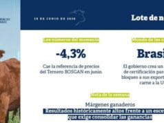 Márgenes ganaderos: Resultados históricamente altos frente a un escenario que exige consolidar las ganancias Márgenes ganaderos: Resultados históricamente altos frente a un escenario que exige consolidar las ganancias