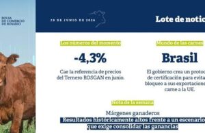 Márgenes ganaderos: Resultados históricamente altos frente a un escenario que exige consolidar las ganancias Márgenes ganaderos: Resultados históricamente altos frente a un escenario que exige consolidar las ganancias