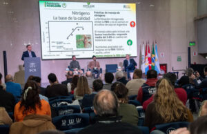 Nutrición balanceada y manejo integrado de plagas: dos pilares para cerrar brechas de rendimiento en soja Nutrición balanceada y manejo integrado de plagas: dos pilares para cerrar brechas de rendimiento en soja