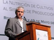 Marcelo Carmona: “El maíz cambió, los riesgos sanitarios también” Marcelo Carmona: “El maíz cambió, los riesgos sanitarios también”