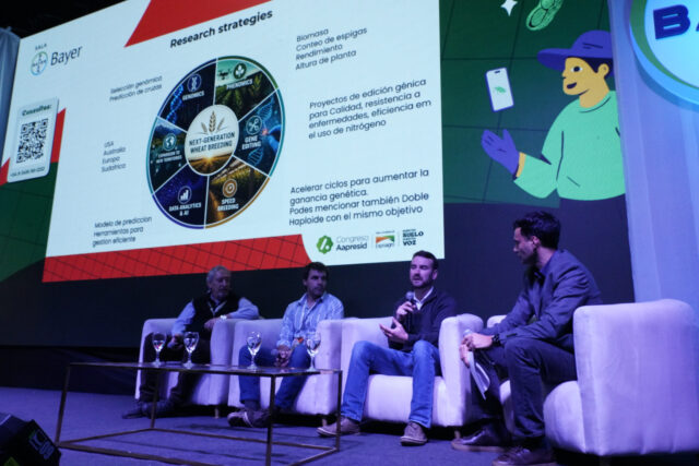 73f01953-bda3-440e-913a-391c4c28633c Las "puntas de lanza" agronómicas: De los híbridos de trigo y la edición génica, a la elección del genotipo ideal para reducir brechas