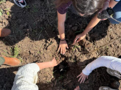 Fundación Cargill impulsó 223 iniciativas sociales en 95 comunidades durante 2025 Fundación Cargill impulsó 223 iniciativas sociales en 95 comunidades durante 2025