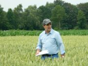Fernando García: “La nutrición es una de las prácticas clave para reducir la brecha de rendimiento del maíz”