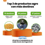 Más de la mitad de las exportaciones argentinas son del agro: el girasol y la yerba las sorpresas