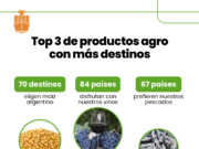 Más de la mitad de las exportaciones argentinas son del agro: el girasol y la yerba las sorpresas Más de la mitad de las exportaciones argentinas son del agro: el girasol y la yerba las sorpresas