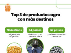 Más de la mitad de las exportaciones argentinas son del agro: el girasol y la yerba las sorpresas Más de la mitad de las exportaciones argentinas son del agro: el girasol y la yerba las sorpresas