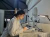 Encuentran bacterias aliadas para combatir importantes enfermedades en cultivos