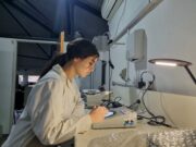 Encuentran bacterias aliadas para combatir importantes enfermedades en cultivos