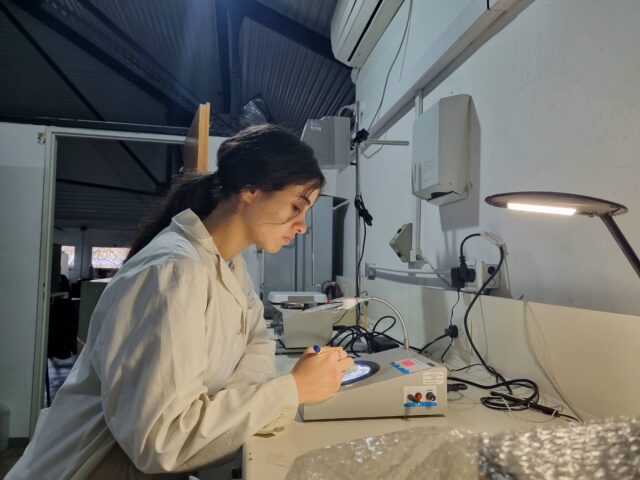micotoxinas - jimena ruiz lab