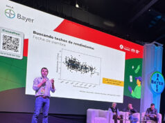 El trigo desafió sus límites en Rosario: innovación genética y manejo de precisión para conquistar nuevos techos productivos El trigo desafió sus límites en Rosario: innovación genética y manejo de precisión para conquistar nuevos techos productivos