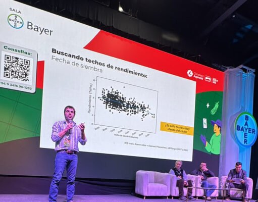 El trigo desafió sus límites en Rosario: innovación genética y manejo de precisión para conquistar nuevos techos productivos El trigo desafió sus límites en Rosario: innovación genética y manejo de precisión para conquistar nuevos techos productivos