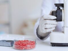 Con irradiación gamma, reducen la presencia de Escherichia coli Con irradiación gamma, reducen la presencia de Escherichia coli