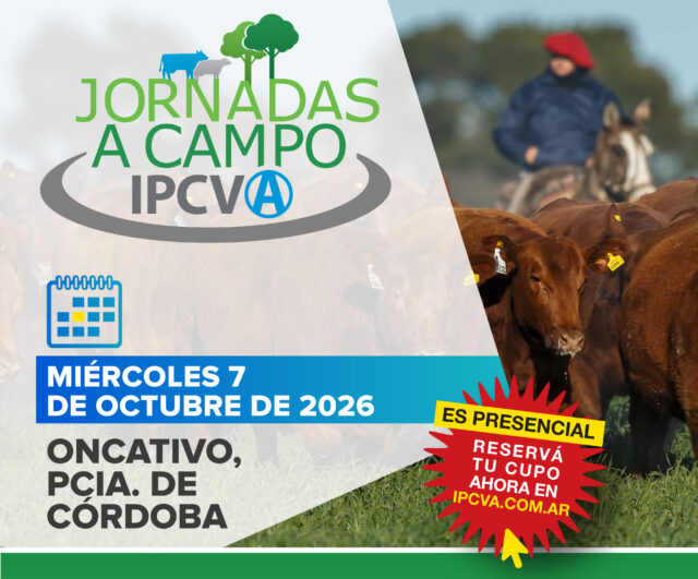 7 de octubre: Jornada a Campo del IPCVA en Oncativo, Córdoba