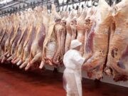La carne vacuna entra en una nueva etapa: cae la faena, crecen las exportaciones y el consumo interno toca mínimos La carne vacuna entra en una nueva etapa: cae la faena, crecen las exportaciones y el consumo interno toca mínimos