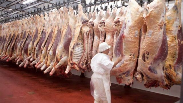 images La carne vacuna entra en una nueva etapa: cae la faena, crecen las exportaciones y el consumo interno toca mínimos